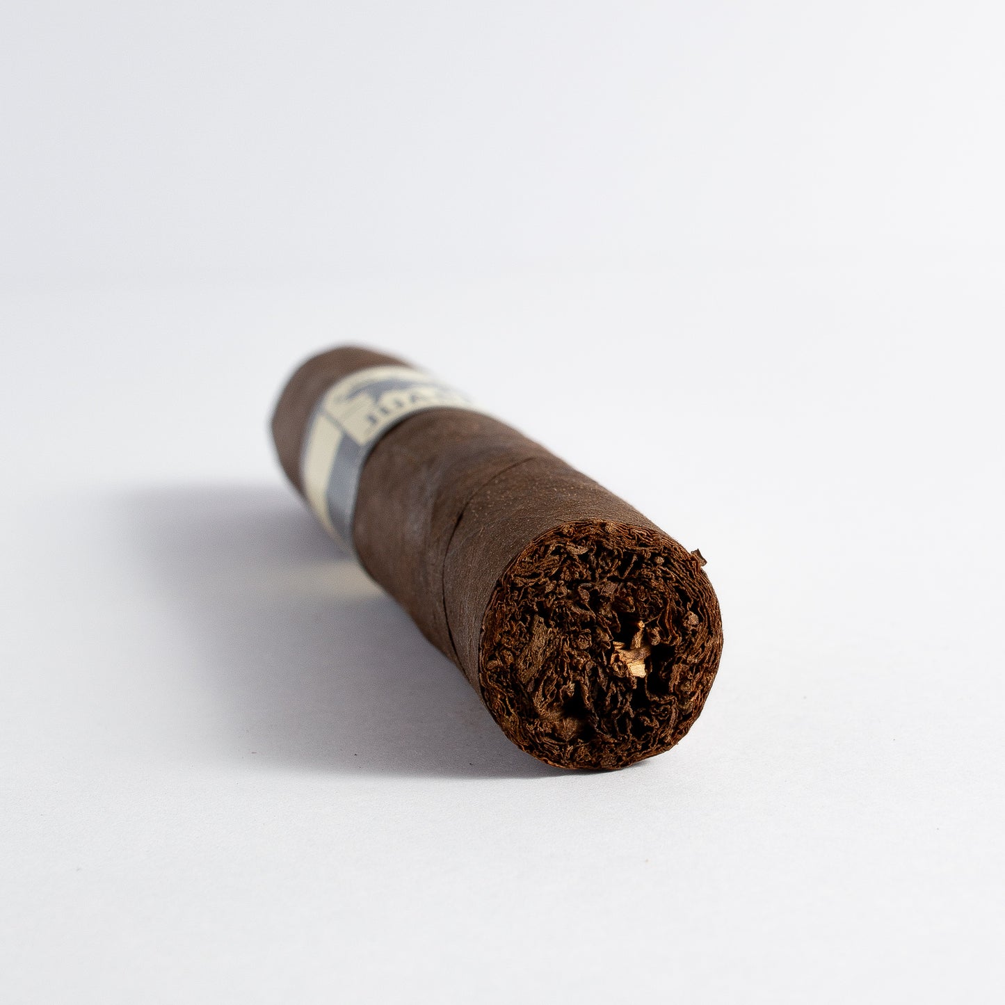 Crowned Heads - Juarez OBS