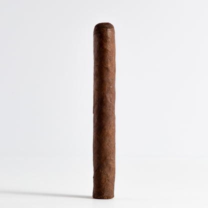Punch London Club Maduro