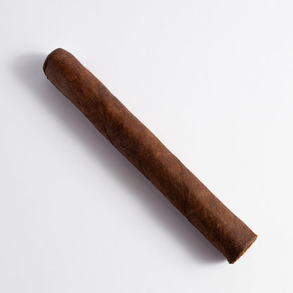 Punch London Club Maduro