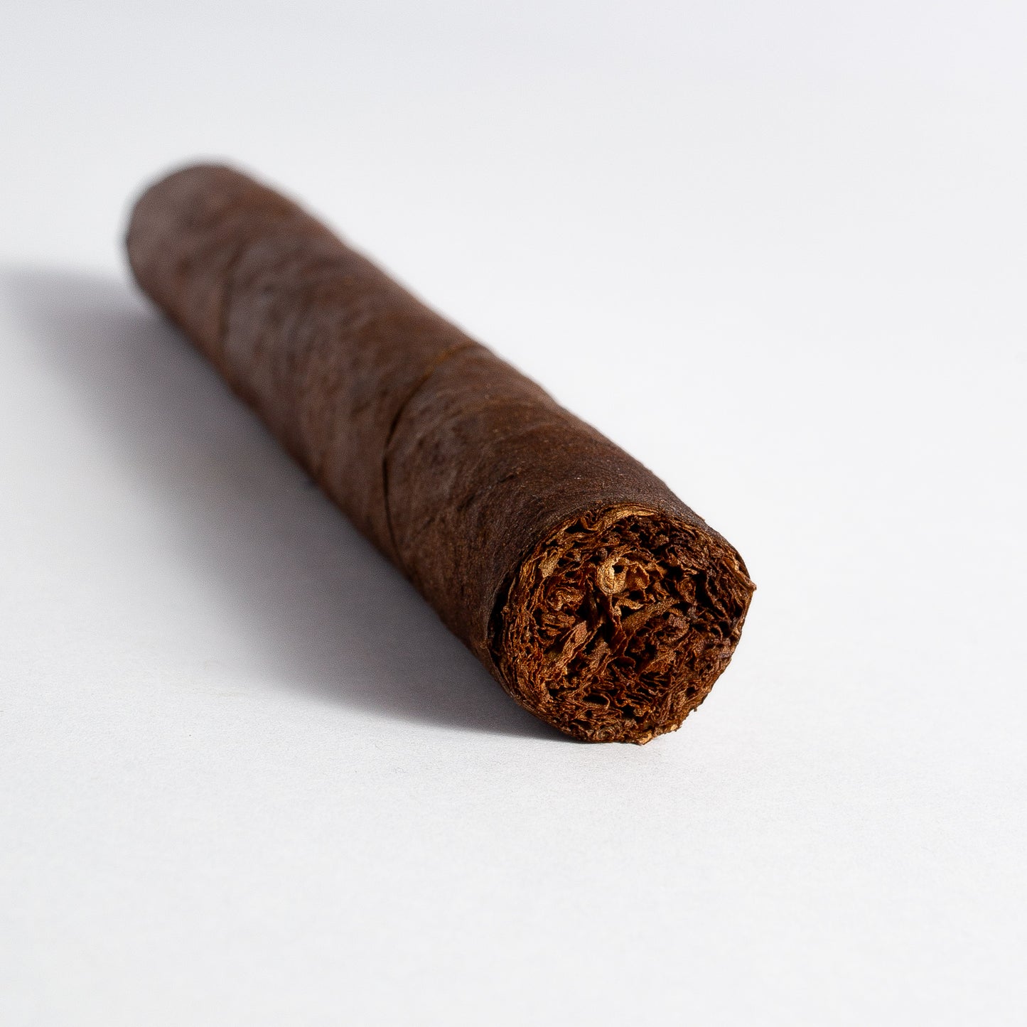Punch London Club Maduro