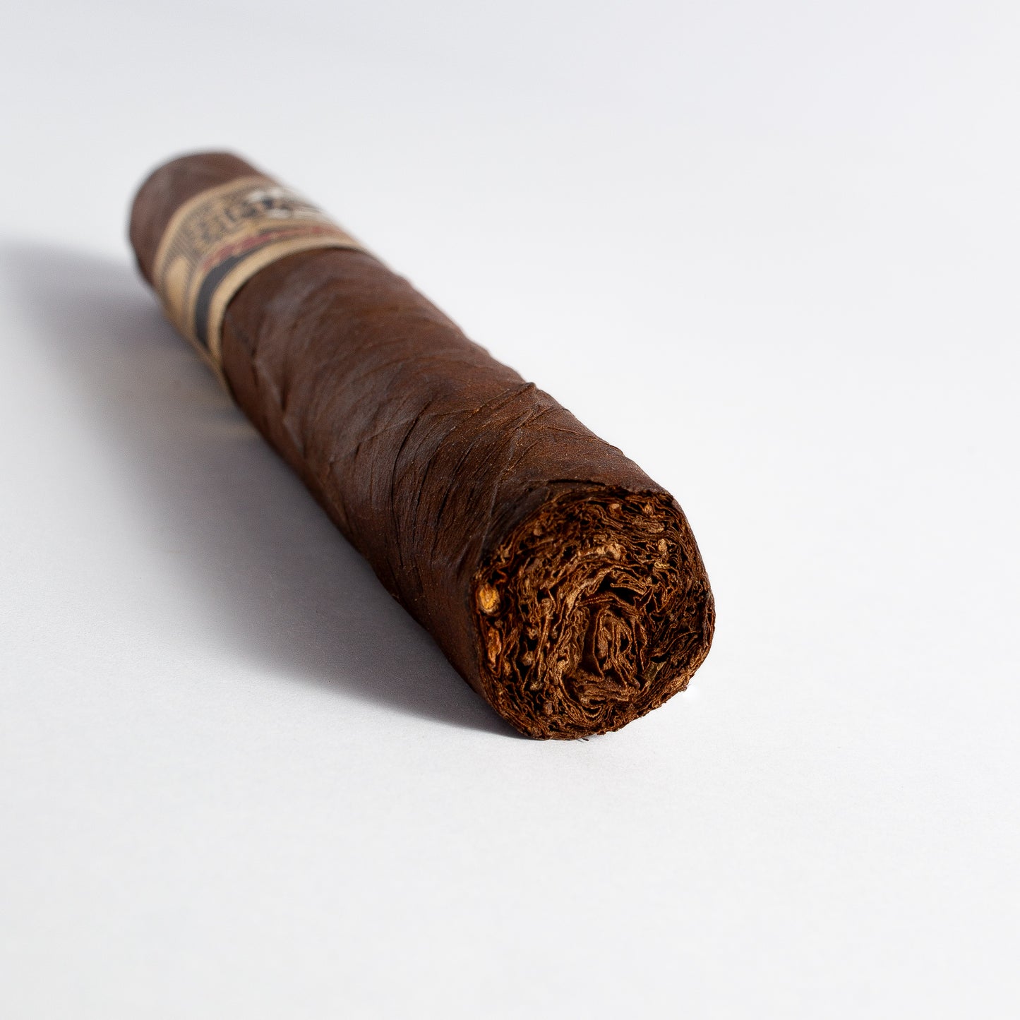 Casa Magna Robusto
